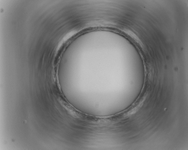 X0000071380974200607142106