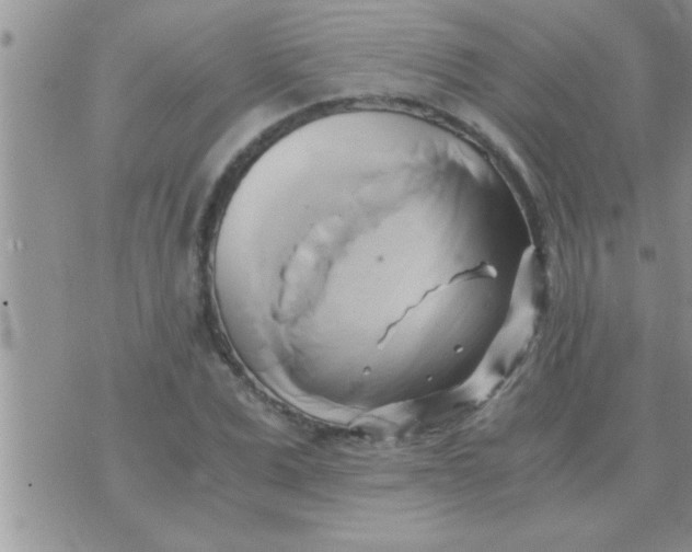 X0000071380975200607142106