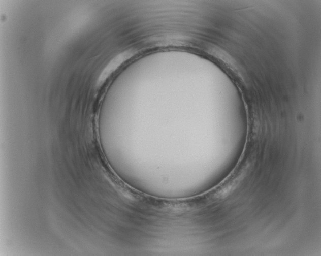 X0000071380978200607142106