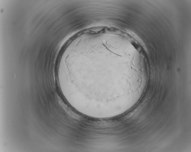 X0000071380980200607142106