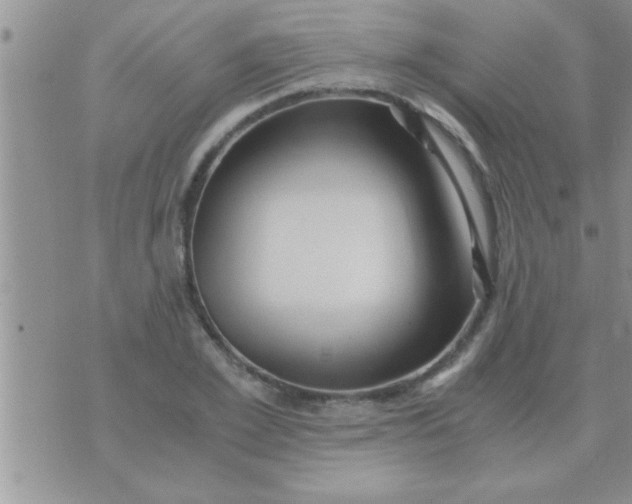 X0000071380981200607142106