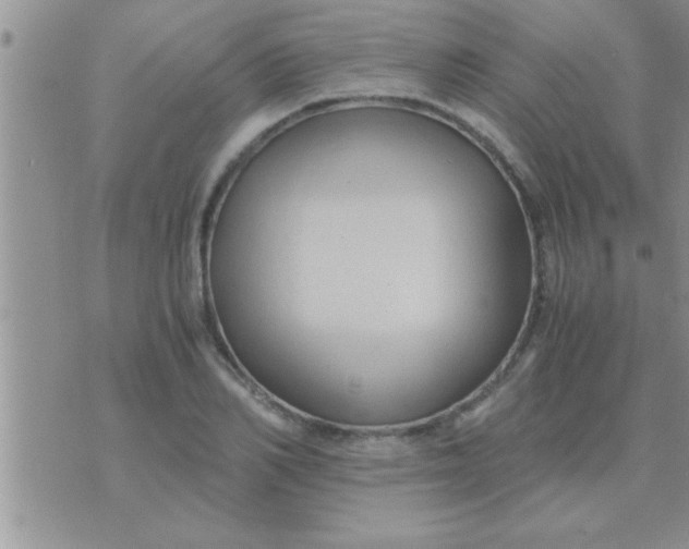 X0000071380982200607142106