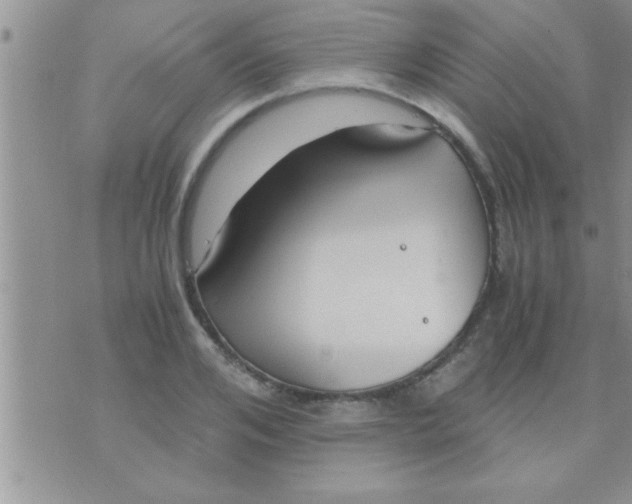 X0000071380984200607142106