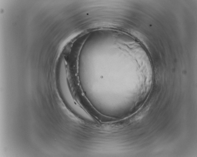 X0000071380987200607142106