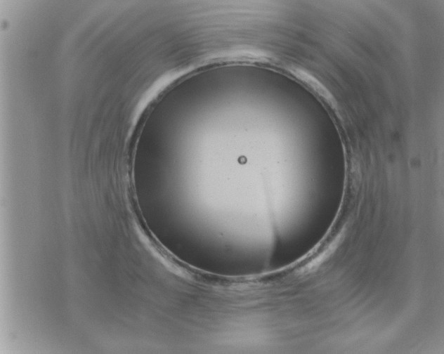 X0000071380989200607142106