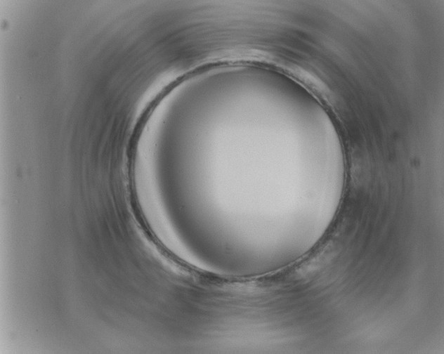 X0000071380990200607142106