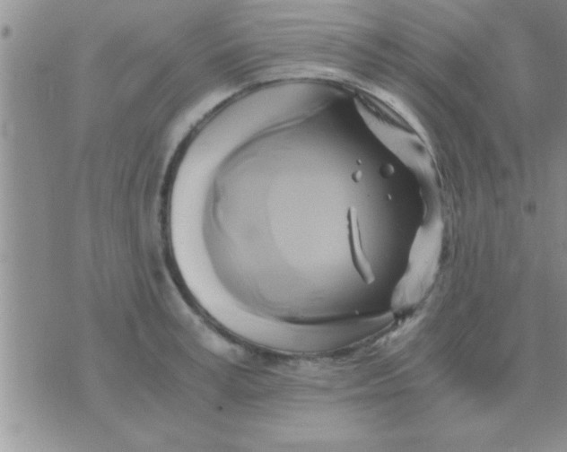 X0000071380995200607142106