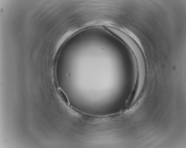 X0000071380997200607142106