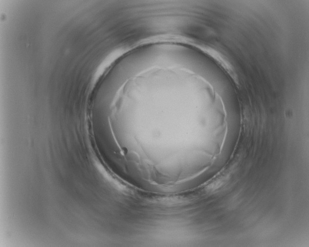 X0000071380998200607142106