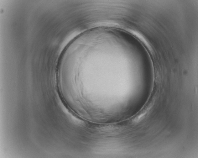 X0000071380999200607142106