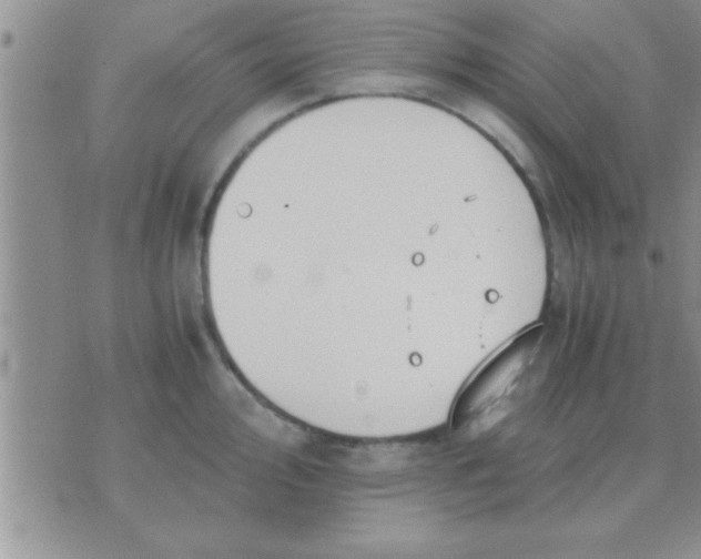 X0000071381000200607142106