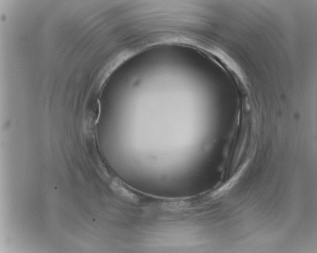 X0000071381001200607142106