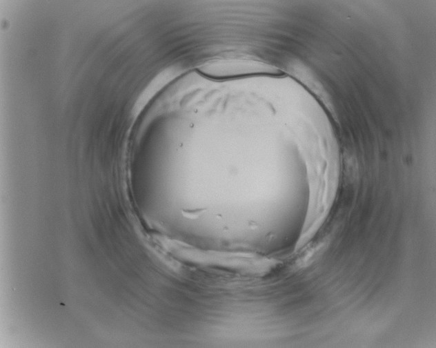 X0000071381002200607142106