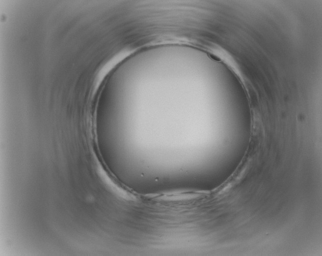 X0000071381003200607142106