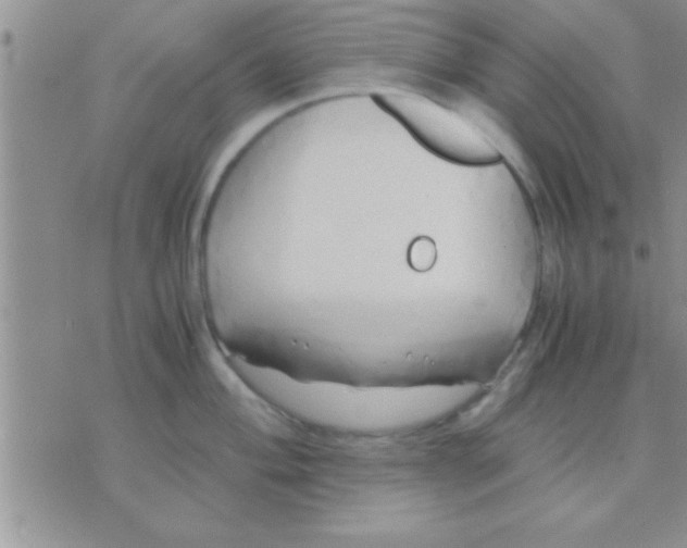 X0000071381004200607142106