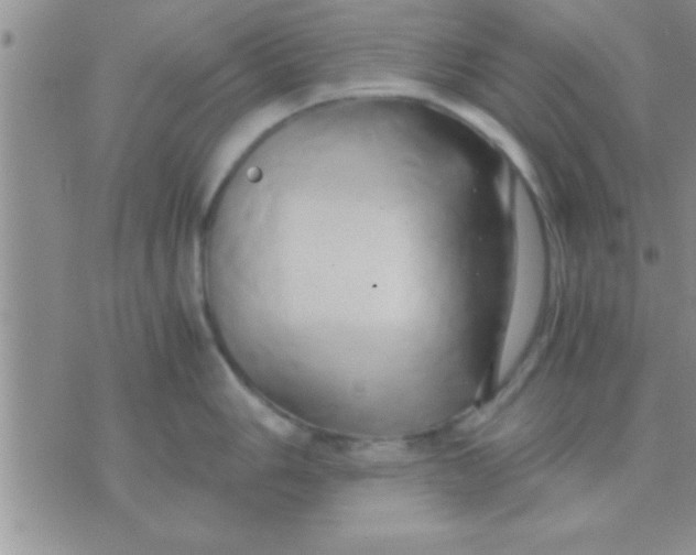 X0000071381006200607142106