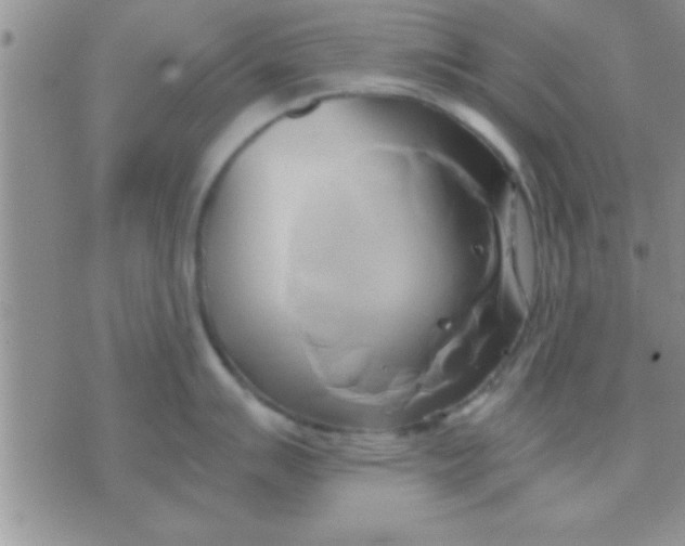 X0000071381007200607142106