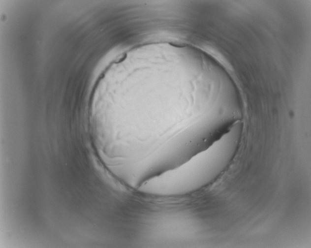 X0000071381008200607142106