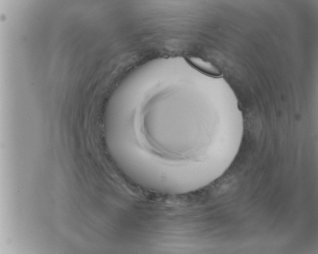 X0000071381009200607142105