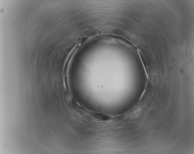 X0000071381010200607142105