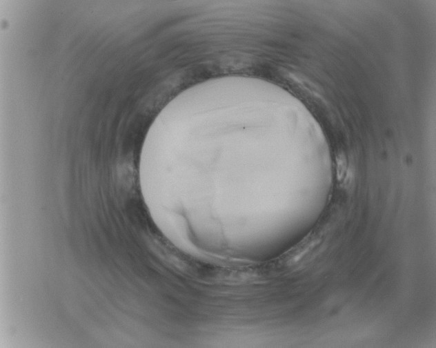 X0000071381011200607142105