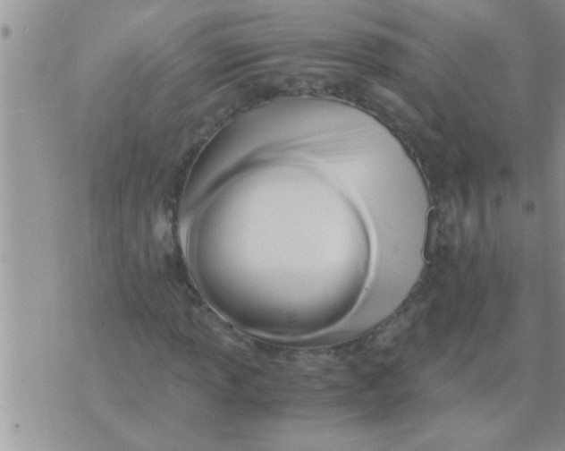 X0000071381013200607142105