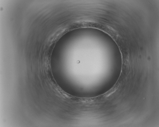 X0000071381014200607142105