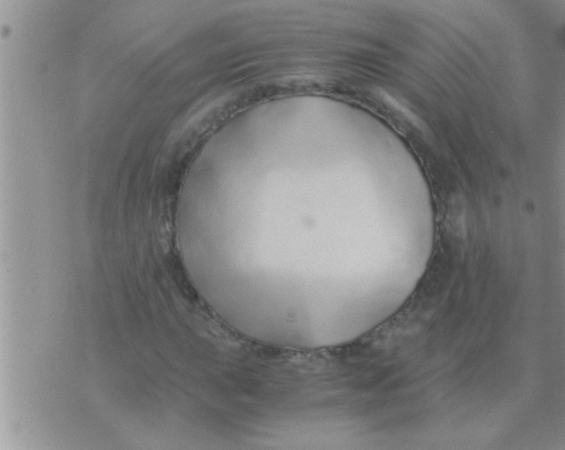 X0000071381015200607142105