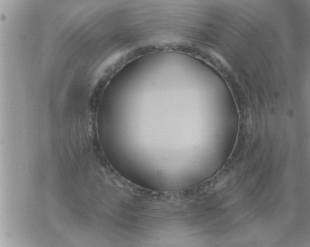 X0000071381016200607142105