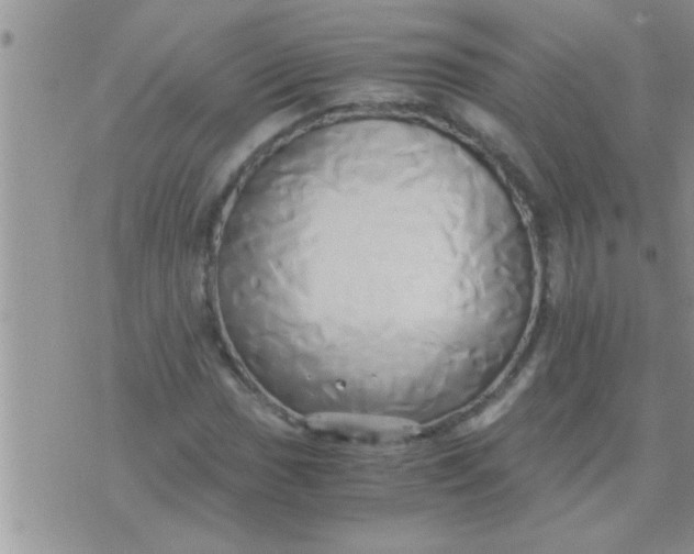 X0000071381017200607142105