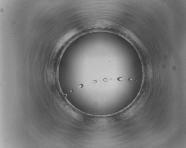 X0000071381018200607142105