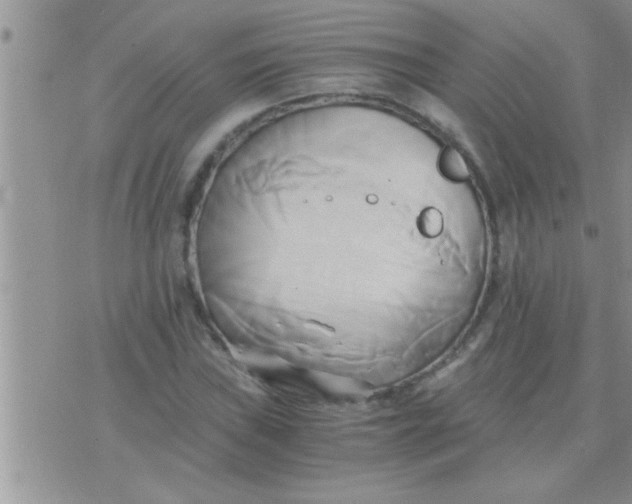 X0000071381019200607142105