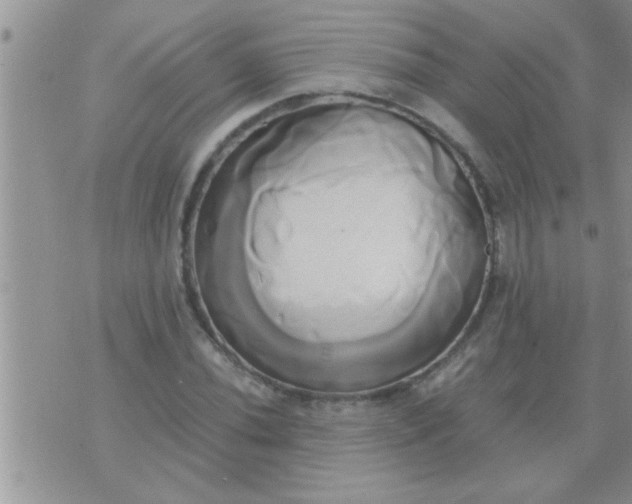 X0000071381020200607142105