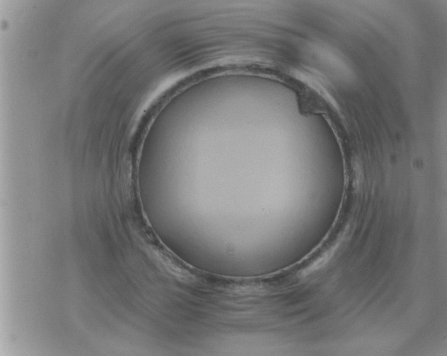 X0000071381021200607142105