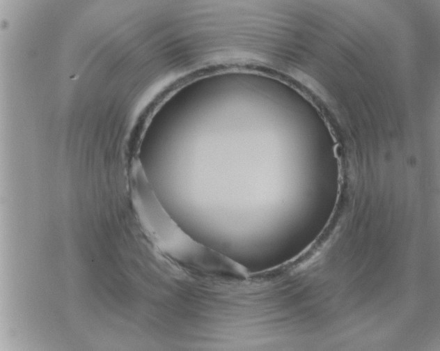 X0000071381022200607142105