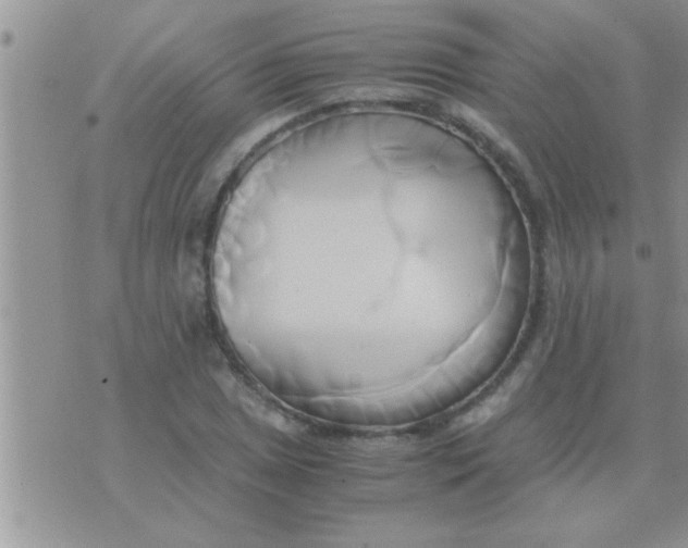 X0000071381025200607142105