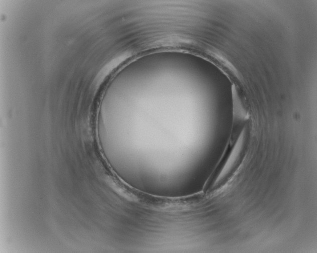 X0000071381026200607142105