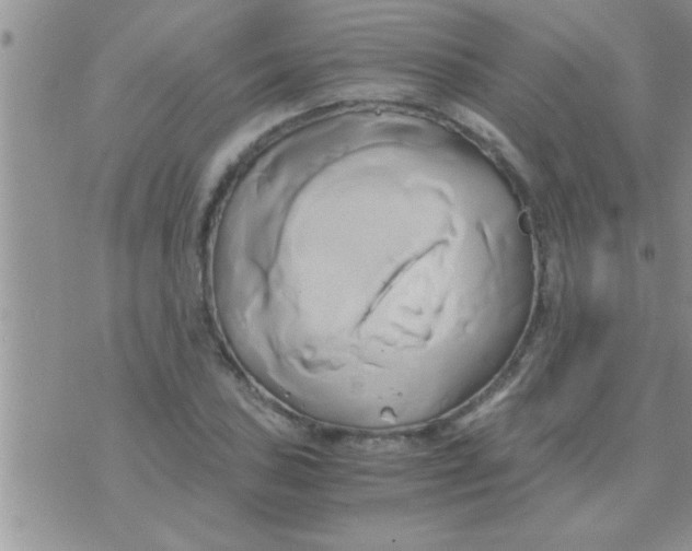 X0000071381027200607142105