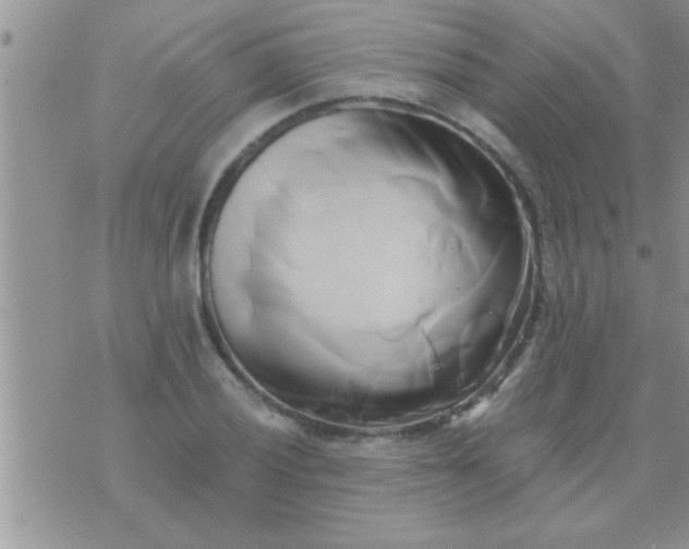 X0000071381028200607142105