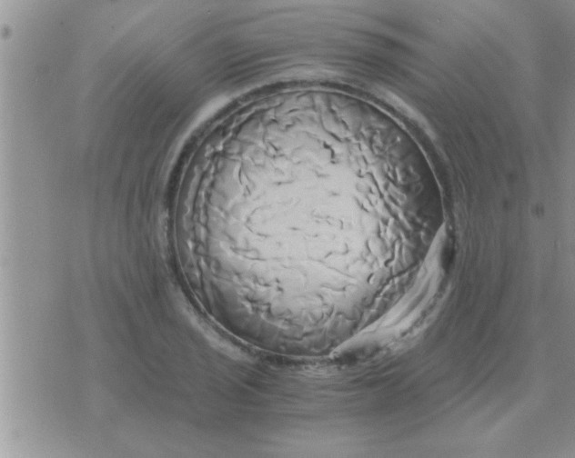 X0000071381029200607142105