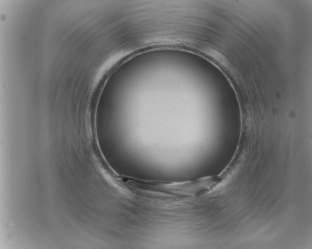 X0000071381030200607142105