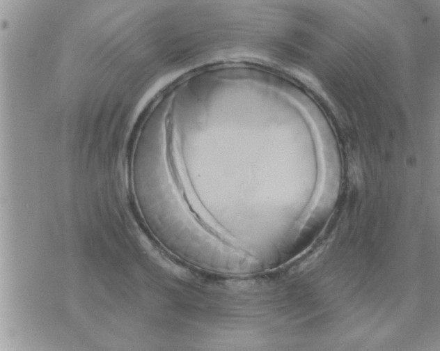 X0000071381032200607142105