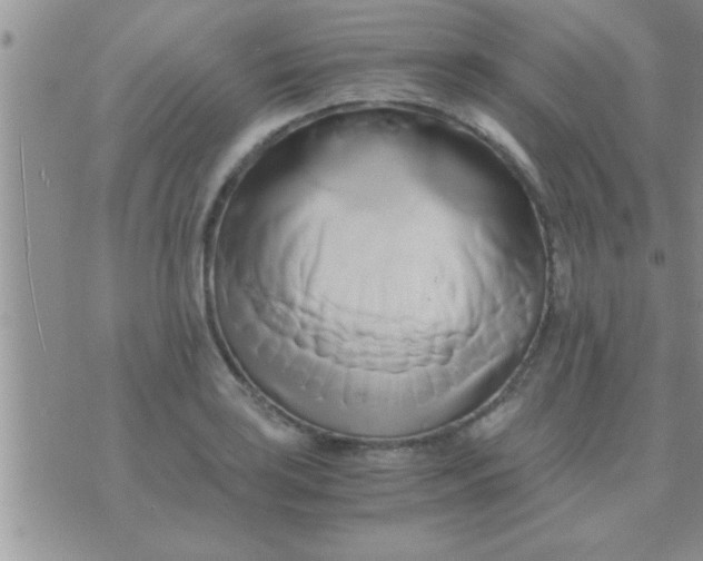 X0000071381035200607142105