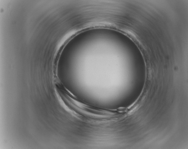 X0000071381038200607142105