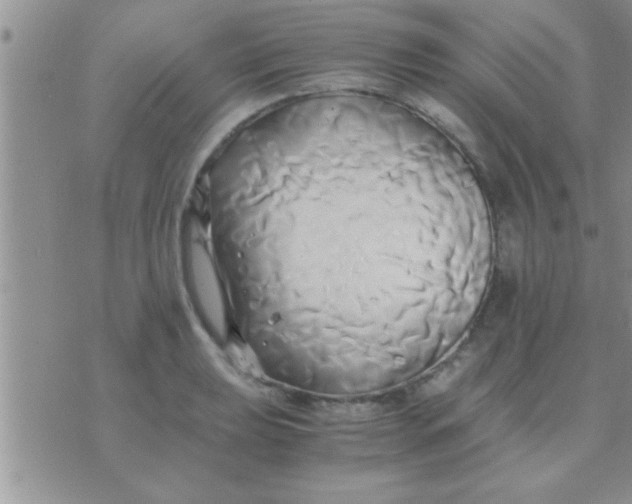 X0000071381039200607142105