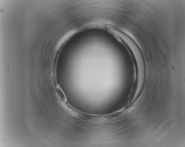 X0000071381042200607142105