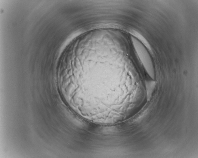 X0000071381043200607142105