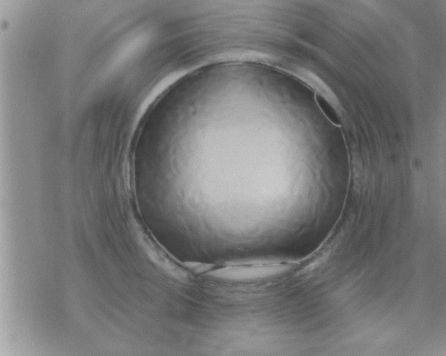 X0000071381044200607142105