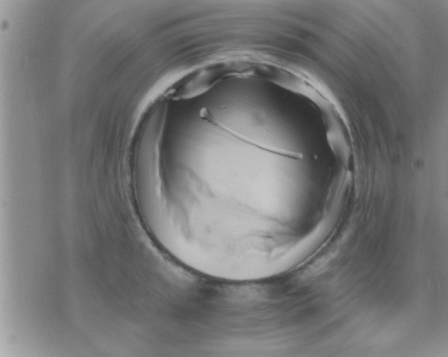 X0000071381045200607142105