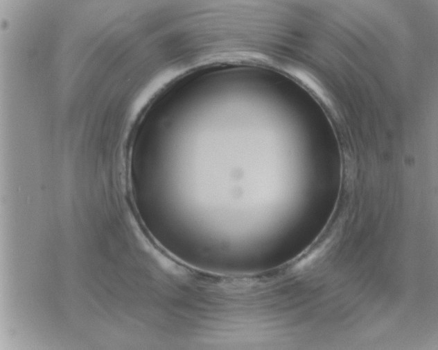 X0000071381046200607142105